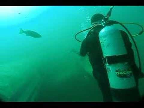 Highlights of Diving Gilboa Quarry - ...