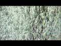 Carbon Nanotubes