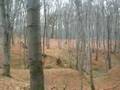 Львов. Погулянка 2008. КК