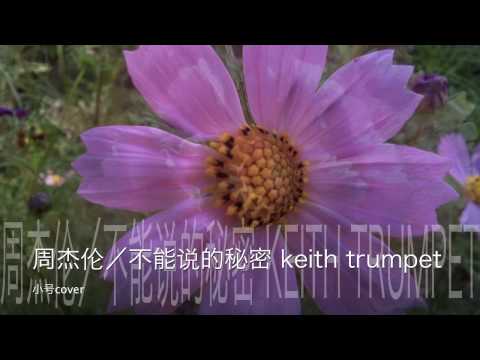 周杰伦/不能说的秘密keith 小号