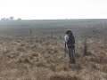 Ver vídeo