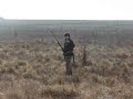 Ver vídeo