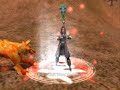 Last Chaos Summoner