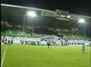 compilatione tifos
