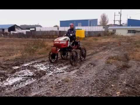 how to fertilize iris