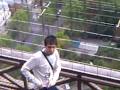 videos de Fauna ibérica en París