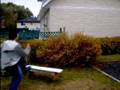 videos de Sped-erific Tree Jumpers!