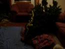 christmas tree smashing christmas tree smashing