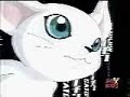 DNA Digivolve Gatomon