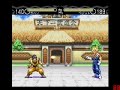 DBZ Hyper Dimension - Gohan vs Vegetto
