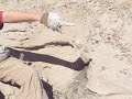 Dinosaurs Rock Fossil Dig