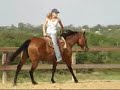 Chickasha Parr - dead, DEAD broke, well-bred mare!