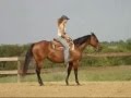 Chickasha Parr - dead, DEAD broke, well-bred mare!