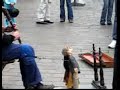 T�teres y Gaita en Gentsefesteen 2008