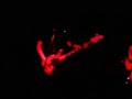 Split Lips - Don\