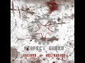 Perfect Breed - Disclosing the deceptions(DEMO 2007) (studio
