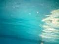 Underwater dive