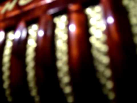 Hohner student accordion
