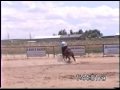 Our gymkhana 4 #2  \"Dance with Me\"
