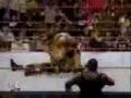 Stone Cold Steve Austin