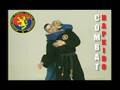 Combat Hapkido