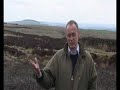 Blackgrouse recovery project