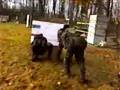 Militia Live Fire Training Jan 12 2008