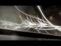�lafur Arnalds - \