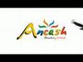 Ver Video