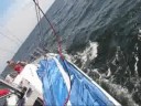 Muhu V�ina 2008 (1)