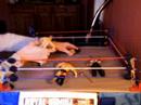 EWF Royal Rumble 2008 pt1