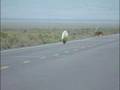 High Speed Streamlined Bicycle Crash!