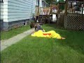 Chicken Tackle