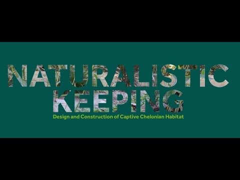 YouTube reptile video