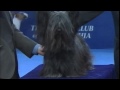 Cliquez pour voir la vid�o