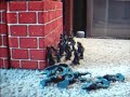 Plastic Army Men of World War II Plastic Army Men of World War II