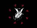 DVAR - Iriis-