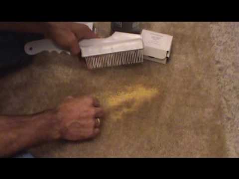 how to dye old carpet