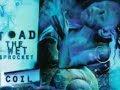 rings   toad the wet sprocket   stereo