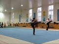 wushu basics.wmv