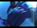videos de Mike skydive cat c1