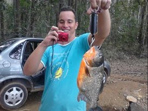 Pescadores de Ribeirão das Neves na melhor pescaria de piranha em Dionísio MG
