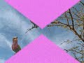 Come What May  ( with lyrics)