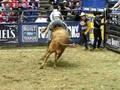 Cord McCoy versus Bad Action