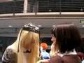 Animania