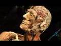 Body Worlds Exposition: Part 1