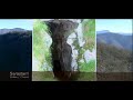 Ruta mitol�gica Sarastarri ibilbide mitologikoa Ataunen