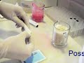 Filling a Tube Filling a Tube