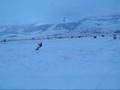 Snowkite - Mazin, Croatia