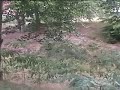 Hohenlychen 3